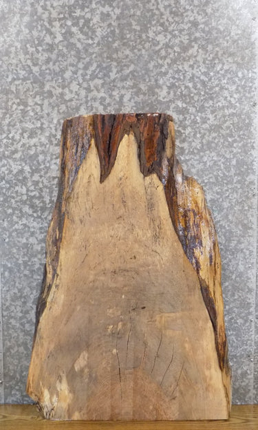 Rustic Live Edge Maple Side/End/Entry Table Top Wood Slab 4714